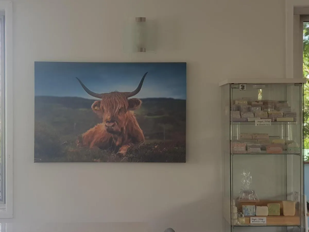 게스트하우스 Highland House 호텔 레드클리프